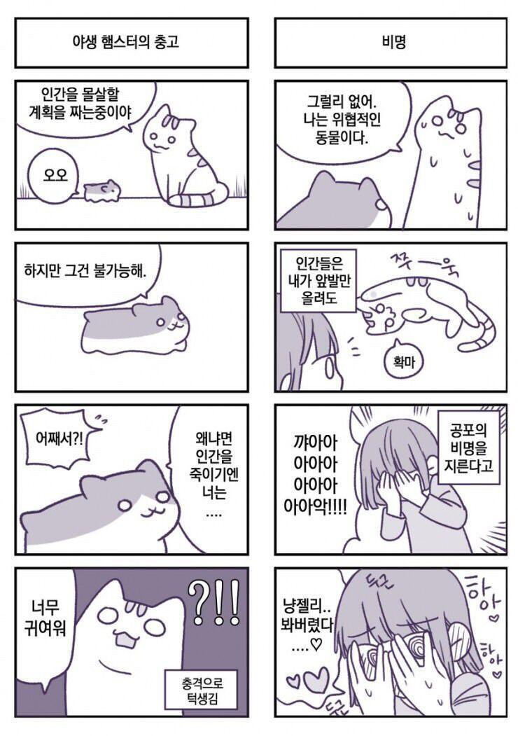 출처 트위터!!