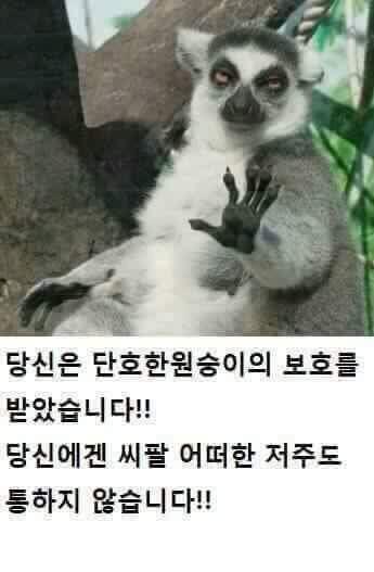 스레딕할 때 가끔 유용하게 쓰는 짤