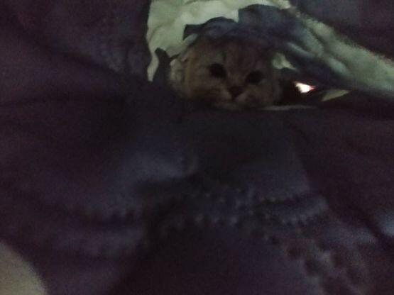 ㅇ..여기 있으니 목숨만은..