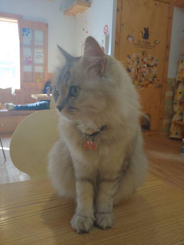뀻