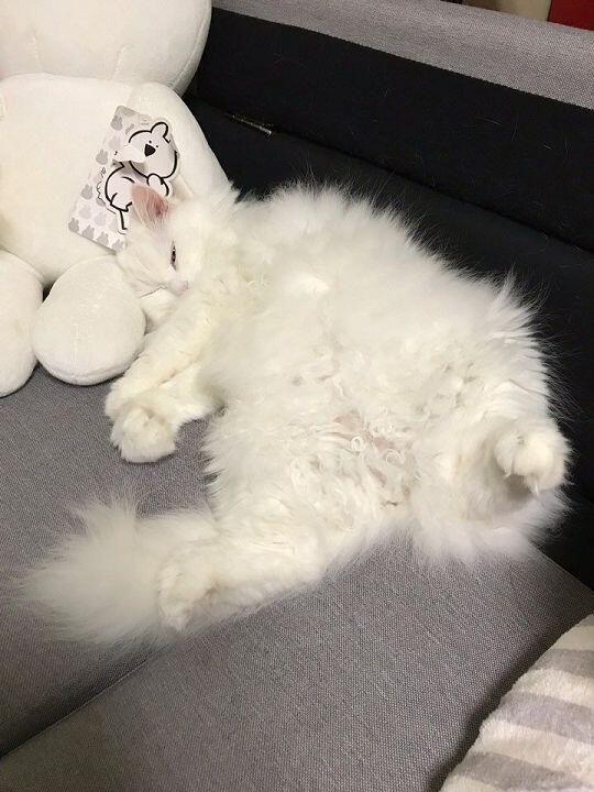 사진이 왜이런거밖에..