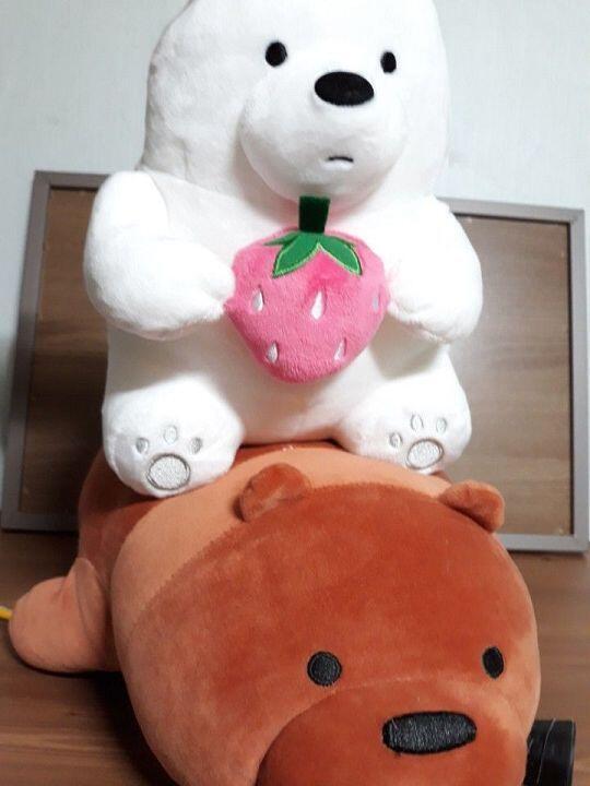 너네 인형 가지고다녀라.. 진짜 열일한다!! 위쪽은 프랭클린, 아랫쪽은 어거스틴이다 이름은 내 친구들이 지어줬고 위 베어 베어스라는 애니메이션에
