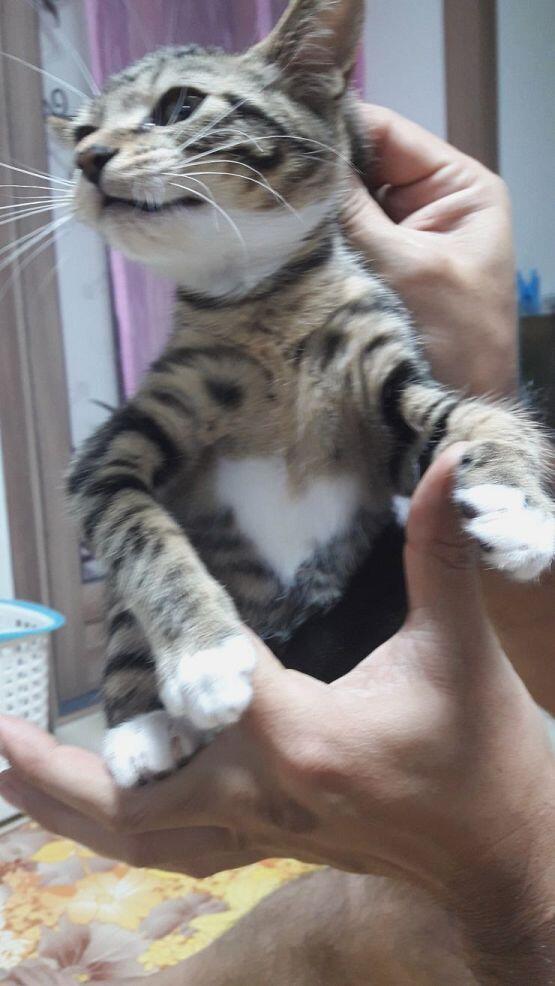 게다가 가슴에 하트무늬있어 엄청 귀여워..ㅎ