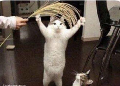 어때..?