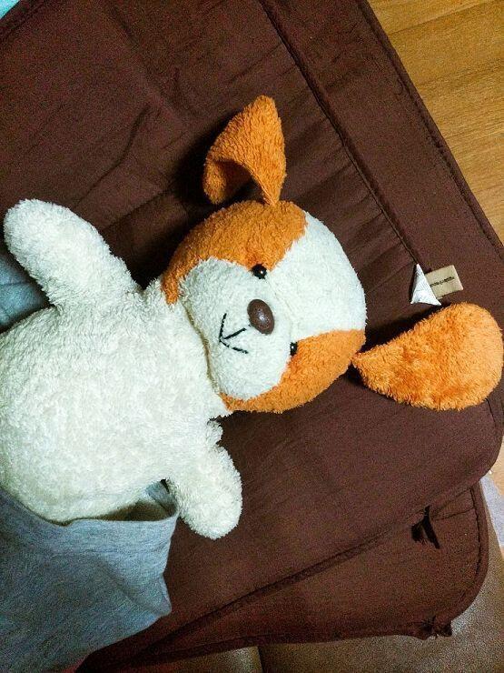 3살 때부터 나랑 16년째 같이 하고 있는 인형이얌