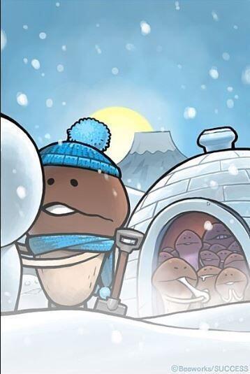 연약한 나메코는 맨몸으로 겨울을 맞았다간 바싹 마른 시든 나메코가 돼버린다 응후......