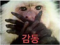 >>35 아아아아아아아아!!!!!!!!!!!!!! 사랑해!!!!!!!!!!!! 고마워!!!!!!!!!!!