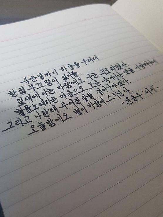 서진 찍는데 자꾸 그림자가 지네 그냥 올려야지