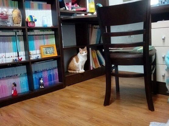 나이잘못먹으면 브베됩니다. 조심하세요
