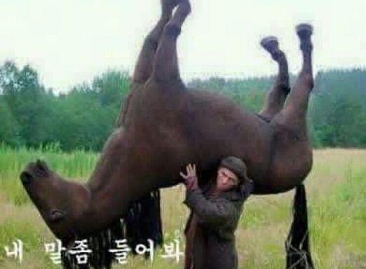 짤 보내고 잘못 보낸 척