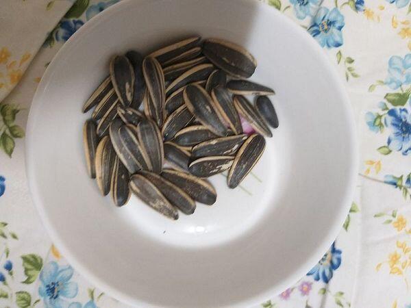 해바라기씨새끼 한마리의 커다란 햄스터가 되서 야금야금