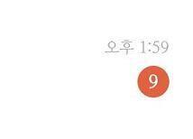 아니네 9개네