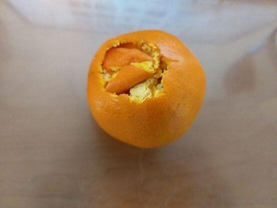 하🍊하🍊하! 또🍊 속았냐! 하하하! 이번엔 무게감을 위해서 🍊껍질🍊까지 넣어뒀다고! 하하하!🍊