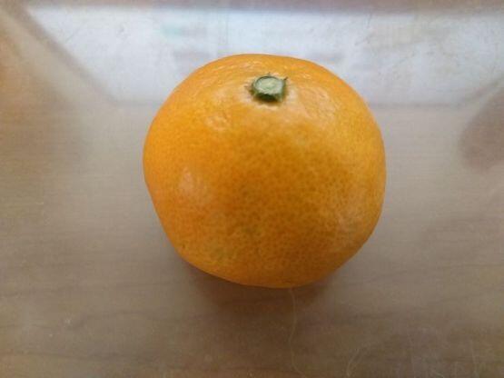 하🍊하🍊하! 또🍊 속았냐! 하하하! 이번엔 무게감을 위해서 🍊껍질🍊까지 넣어뒀다고! 하하하!🍊