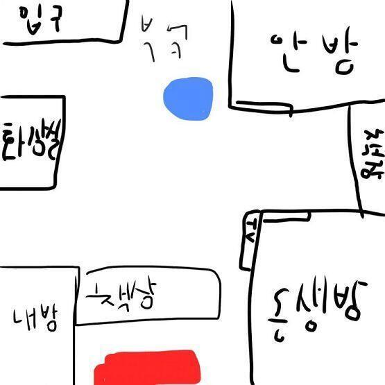 아 그리고 어제 새벽에 다리같은걸 봤어. 난 어제 거실에서 잤는데 우리집 구조가.. 그림처럼 있는데 빨간색부분이 내가 잔거고 파란색이 내가 본게