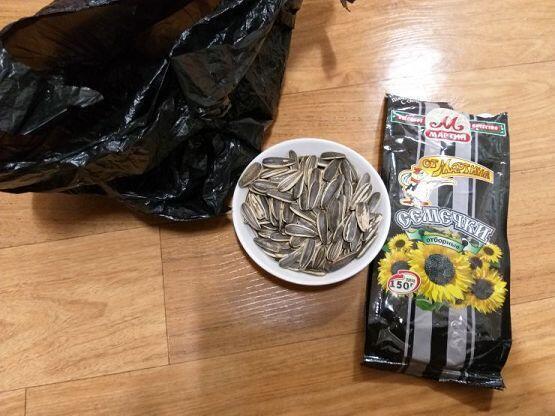 오늘은 남은 해바라기씨를 털어먹는 날임