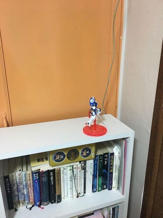책장뒤에 숨김
