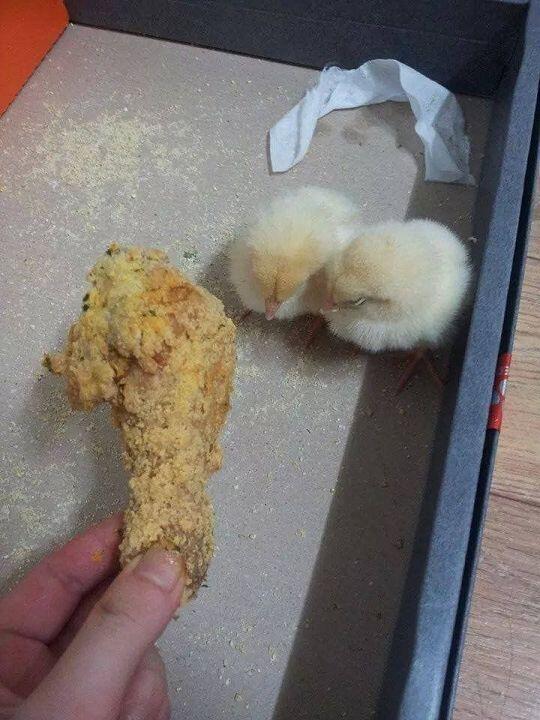스레 제목보고 생각나서 올려봄