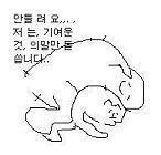 귀여운 사진을 보면 좀 낫지 않을까?