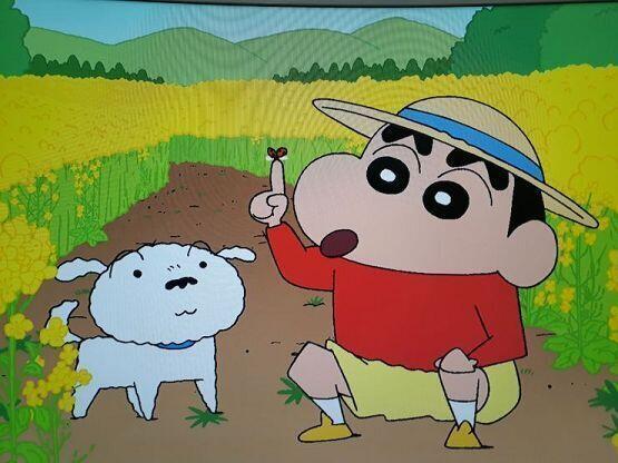 이게 원랴 배경화면이야