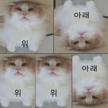 노맛