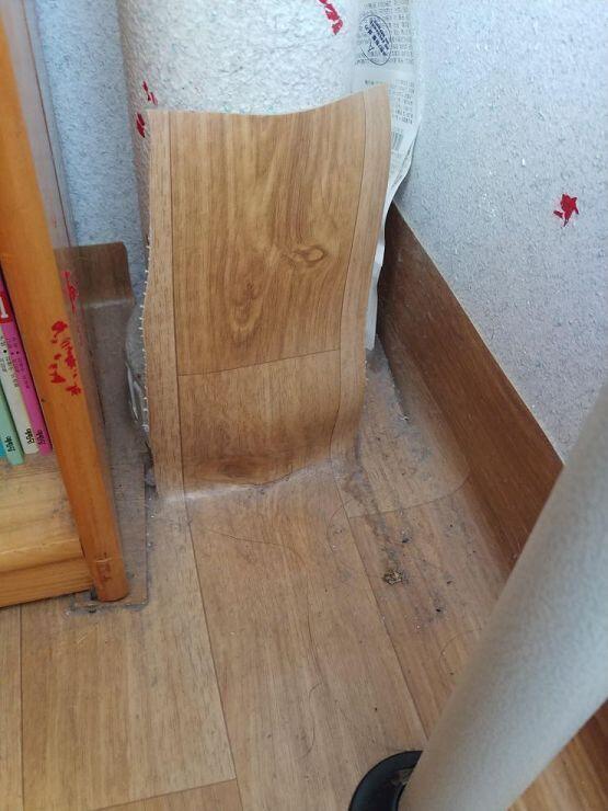 벌레친구를퇴치해보자