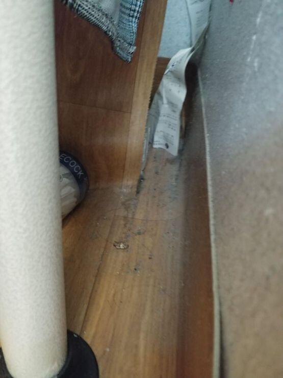 벌레친구를 발견한 베란다는 조금이따가,,,