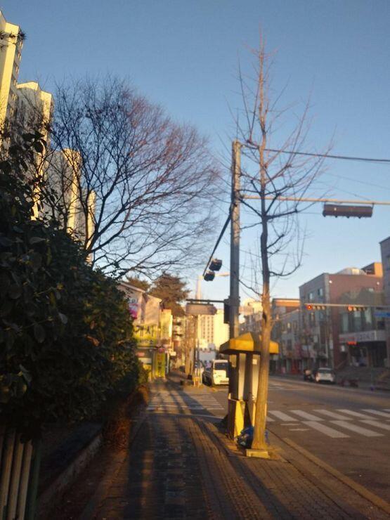 아까랑은 다른 길로 가야징