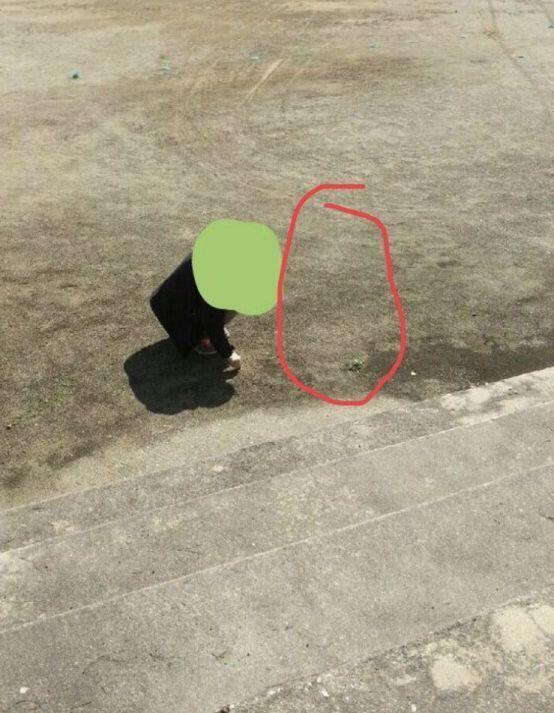 이거 맞아???? 맞으면 개소름인데 왜 보이는거같지