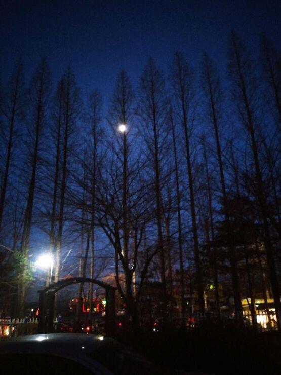 달도 보임