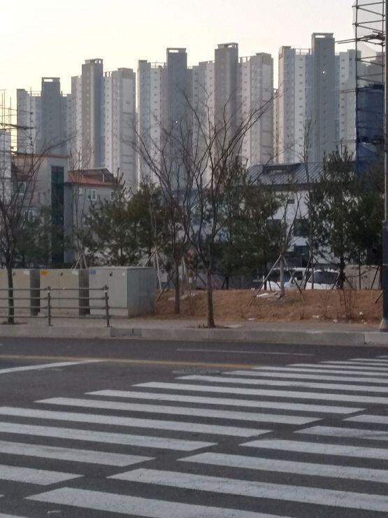 드디어 저 아파트가 보인다 손이 얼었어