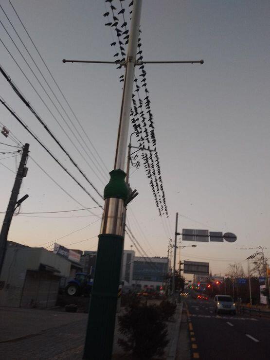 크게 ㅂㅎ면 좀 ㅜ섭