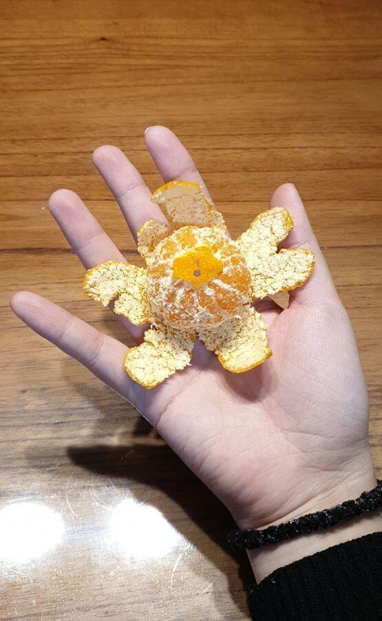 귤이 작다 귀엽다 하지만 자비없이 먹어버렸다 맛있다