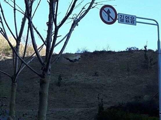 혹시 저건가