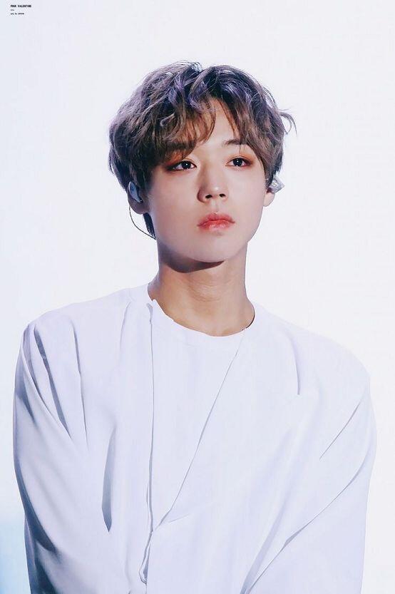 워너블 모여라 난 지후니