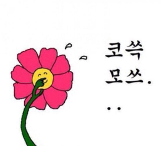 >>494