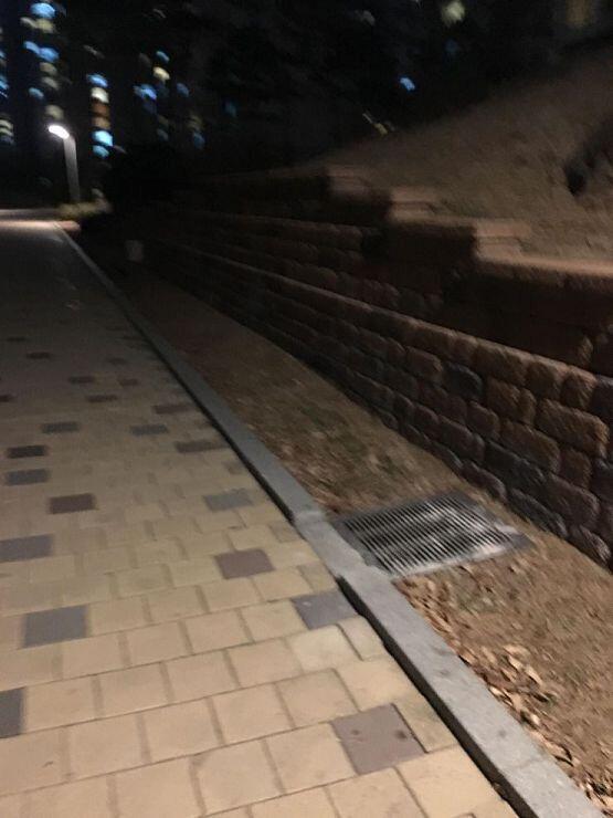 아니 나 이시간에 혼자 나와있어본적ㄱ이 첨이라 자꾸 사진찍게돼....머리는 진짜 무서워서 혼란스러운데