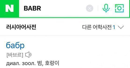 BABR 이게 오타말하는거 아냐?? 호랑이 말하는거 맞네!!