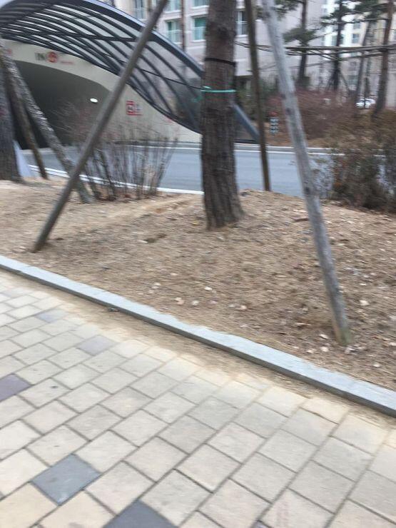 얘들아ㅠㅠ아무래도 나혼자는 무리같아서 여기사는 내 친구집에 들렀어...쫌있다 집에서 친구한테 밀실 스레 보여주고 같이 가보려고 미안해ㅠㅠㅠ아파트
