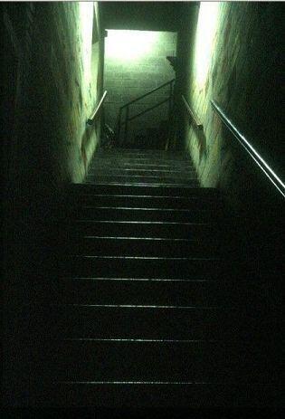 이거 심령사진 유명한거라기에 들고왔어ㅠㅜㅜ