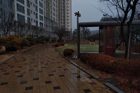 근 3시간을 찾았는데 아무것도 안 보여서 그냥 간다. 내가 뭐 찾는 데 소질이 없거나, K씨가 지독하게 어려운 데 숨겨놨거나, 211동 뒤에 있