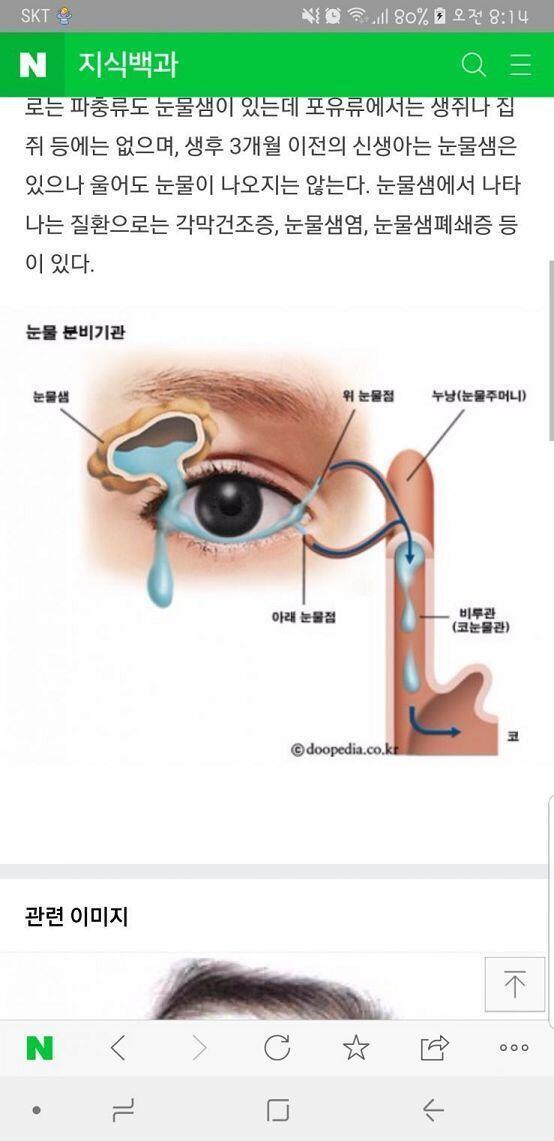 위아래 다있는게 정상이야! 겁먹지말라고 사진가져옴!