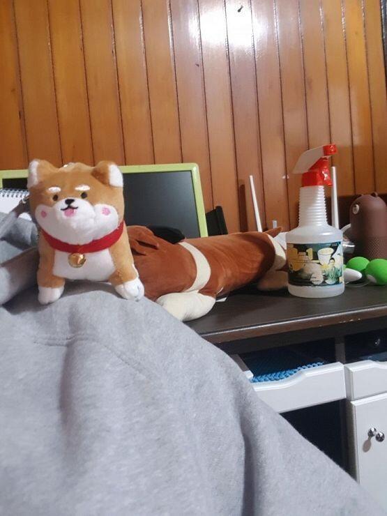 레주의 셀카놀이와 어깨위의 ㅅㅂ!