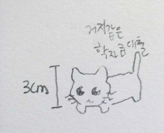 아직 외형도 안 정해졌는데 낙서해봤다