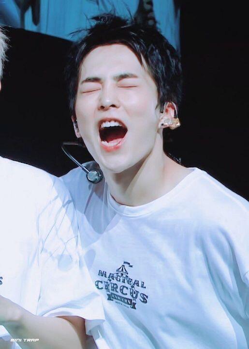 아 모두들 김민석하세요 귀여운 착한 고양이입니다 말로 설명하지 않고 사진으로만 설명합니다 모두들 사진 클릭하세요ㅠㅠㅠ 스레주ㅠㅠㅠㅠㅠ엉엉