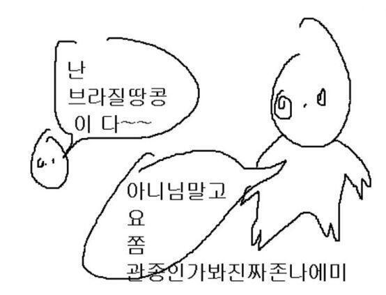브라질땅콩