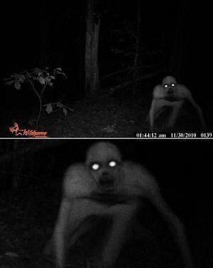사진주의