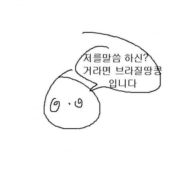 브라질땅콩