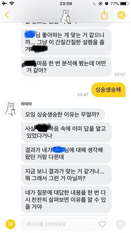 결국 라마마한테 내 마음을 알아봐달라고 부탁했는데 더 모르게 되어버렸어.... 아니 난 타로점을 봐줄줄 알았지 질문을 할줄은 몰랐어...음 근데