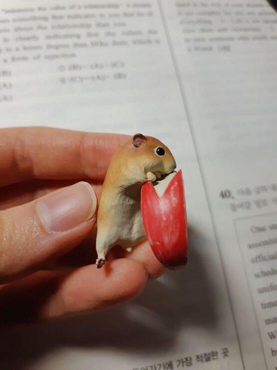스레주,,,, 낮이랑 밤에 스케쥴 꽉꽉 차있어서 새벽밖에 시간이 안될것 같슴다,,,,, 며칠 뒤에 돌아오겠어요,,,,, 그냥 가긴 아쉬우니까 비